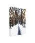 Фото #2 товара Philippe Hugonnard Snowy road Central Park Canvas Art - 27" x 33.5"
