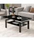 Black Tempered Glass Coffee Table, 2 Layer Storage Tea Table