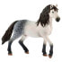 Фото #1 товара Фигурка Schleich Andalusian Stallion Horse Club 13821 (Клубная лошадь Андалузия)