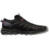 Фото #1 товара Mizuno Wave Daichi 7 GTX W running shoes J1GK225621