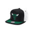 Фото #1 товара Mitchell & Ness Nba Day One Snapback Chicago Bulls