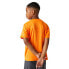 ფოტო #3 პროდუქტის REGATTA Alvarado VIII short sleeve T-shirt