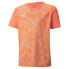 ფოტო #1 პროდუქტის PUMA Individual Rise Graphic short sleeve T-shirt