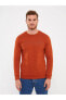 Фото #5 товара LCWAIKIKI Classic Bisiklet Yaka Uzun Kollu Baskılı Erkek Sweatshirt