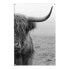 Outdoor-Poster Highlander Bulle