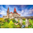 Фото #1 товара Puzzle Sie Schloss Corvinilor Hunedoara