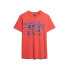 ფოტო #2 პროდუქტის SUPERDRY Metallic Workwear Graphic short sleeve T-shirt