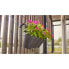 Фото #3 товара Горшок для цветов Artevasi Blumentopf fr Balkon Capri Individ 30,5 x 54 x H 28 cm 11 L Dunkelrot