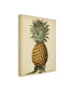 Фото #2 товара George Brookshaw Brookshaw Antique Pineapple I Canvas Art - 19.5" x 26"