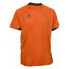 Фото #1 товара Футболка мужская Select Spain T26-02391 оранжевая