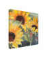 Фото #2 товара Sandra Iafrate Sunflowers in Watercolor II Canvas Art - 15" x 20"
