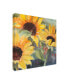 Sandra Iafrate Sunflowers in Watercolor II Canvas Art - 15" x 20"