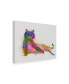 Fab Funky Cat Rainbow Splash 10 Canvas Art - 15.5" x 21"