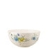 Rosenthal Brilliance Fleurs des Alpes Schüssel 22 cm