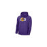 Фото #1 товара Nike Los Angeles Lakers Essential