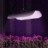 Фото #5 товара Lampa do wzrostu uprawy roślin pełne spektrum 25 x 12 cm 68 LED 50 W srebrna