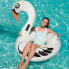 BESTWAY Flamingo 165x117 cm Float