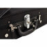 Petz Double Case for 2 Violins B/BL