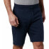 Фото #1 товара COLUMBIA Logo Fleece Shorts