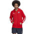 Фото #1 товара Sweatshirt adidas FC Bayern DNA FZ HD M HF1356