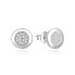 Glittering silver earrings with zircons AGUP2318L