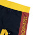 Фото #2 товара плавки-шорты для мальчиков Harry Potter Разноцветный