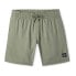 Фото #1 товара O´NEILL Future Surf Society 14´´ Swimming Shorts