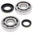 All BALLS Suzuki RM250 2003-2004 Crank Shaft Bearing Kit