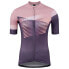 Фото #3 товара CUBE Teamline short sleeve jersey