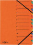 Фото #1 товара Файл для школы PAGNA Teczka Easy 12 отделений 1-12 оранжевая