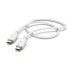 Фото #1 товара Hama 00201592 - 1.5 m - USB C - USB C - USB 2.0 - 480 Mbit/s - White