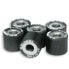 Фото #1 товара MALOSSI Htroll 25x22mm 26gr Variator Rollers