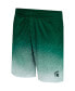 Фото #3 товара Men's Green Michigan State Spartans Walter Shorts