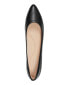 ფოტო #4 პროდუქტის Women's Fellia Slip-On Pointy Toe Dress Flats