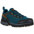 Фото #1 товара LA SPORTIVA TX Hike Goretex Hiking Shoes