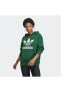 Фото #1 товара Толстовка женская Adidas Originals TRF Hoodie Sweat для женщин