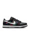 Фото #3 товара NİKE DUNK LOW NN-FB8022-001