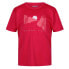 ფოტო #3 პროდუქტის REGATTA Alvarado VII short sleeve T-shirt