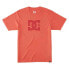 DC SHOES Dcstar Pigment short sleeve T-shirt