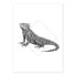 Фото #1 товара Wandbild Iguana White