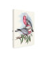 Фото #2 товара John Gould Pastel Parrots III Canvas Art - 20" x 25"