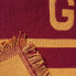 Blanket Harry Potter Gryffindor Values 230 x 260 cm 230 x 2 x 260 cm