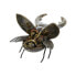 Decorative Figure Home ESPRIT Grey Multicolour Beetles 22 x 14 x 11 cm