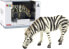 Фото #1 товара Развивающий игровой набор или фигурка для детей Figurka LeanToys Duża Figurka Kolekcjonerska Zebra Zwierzęta Świata