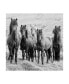 Фото #1 товара Картина холст на стену Trademark Global Black and White Horses VIII - 20" x 25"