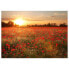 Фото #1 товара Leinwandbild Poppy Field