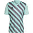 Фото #2 товара T-shirt adidas Entrada 22 Graphic Jersey M HF0119