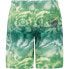 Фото #2 товара PROTEST Daniel Swimming Shorts