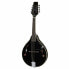 Фото #1 товара Harley Benton HBMA-50 Mandoline BK