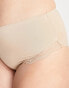 New Look Curve lace detail highwaist brief in tan